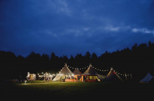 The Hidden Hive at night